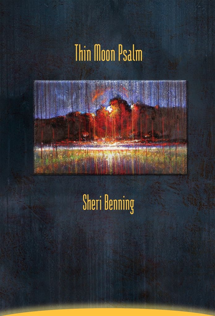 Book cover image for Thin Moon Psalm ISBN: 9781894078603